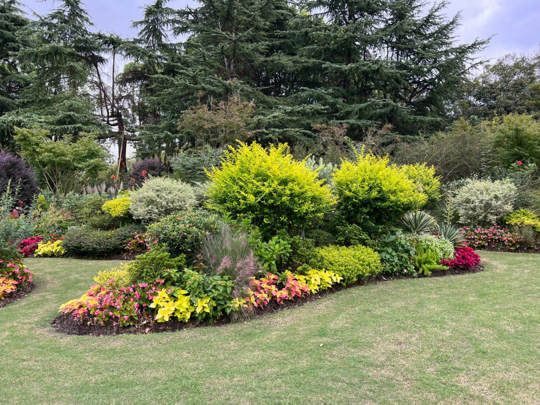 公園花卉種植
